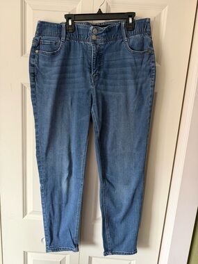 Passport Mid-Rise Blue Women’s Skinny Jeans